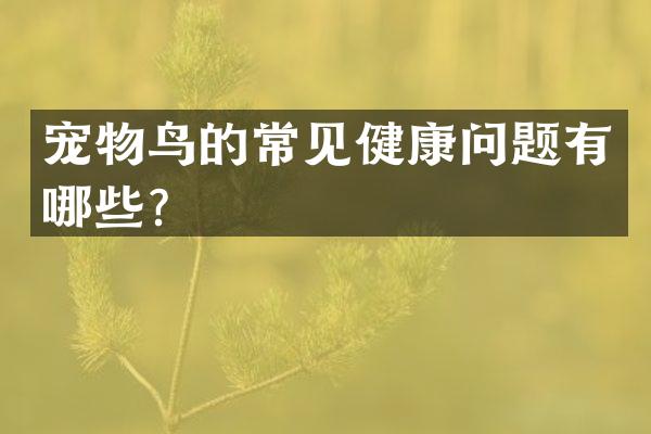 宠物鸟的常见健康问题有哪些？