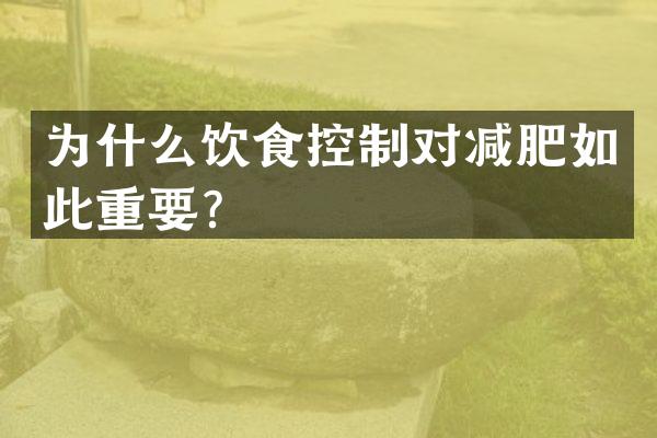 为什么饮食控制对减肥如此重要？