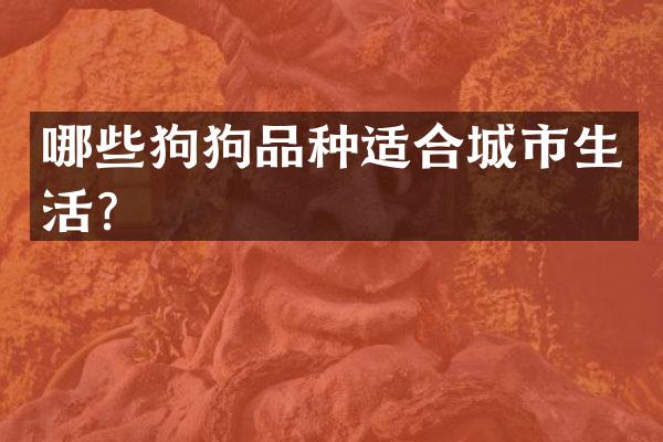 哪些狗狗品种适合城市生活？