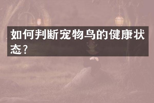 如何判断宠物鸟的健康状态？
