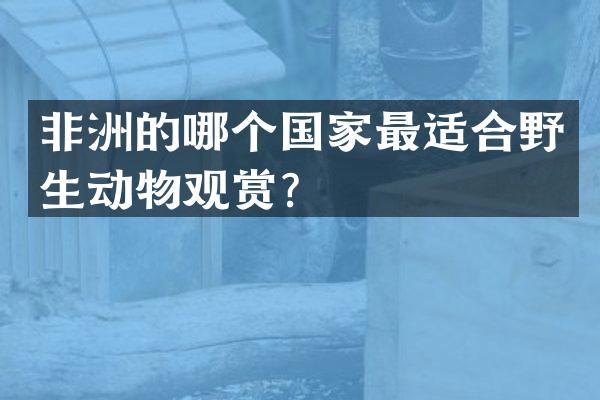 非洲的哪个国家最适合野生动物观赏？