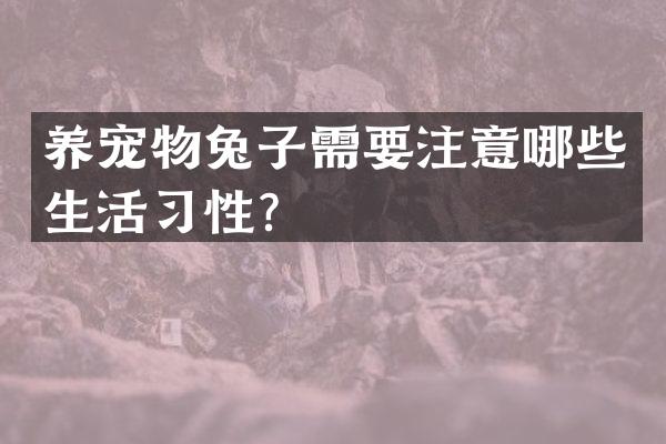 养宠物兔子需要注意哪些生活习性？