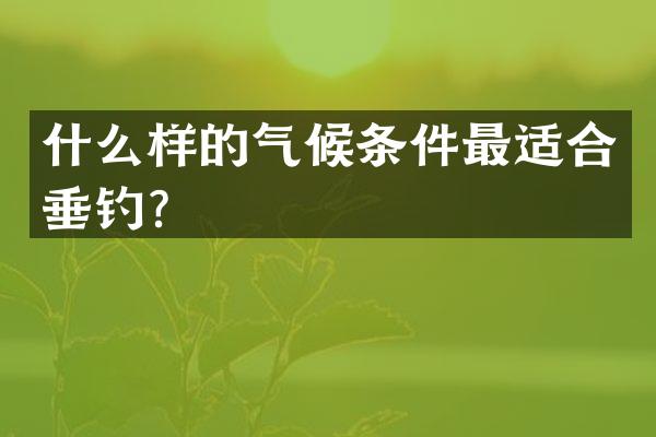 什么样的气候条件最适合垂钓？