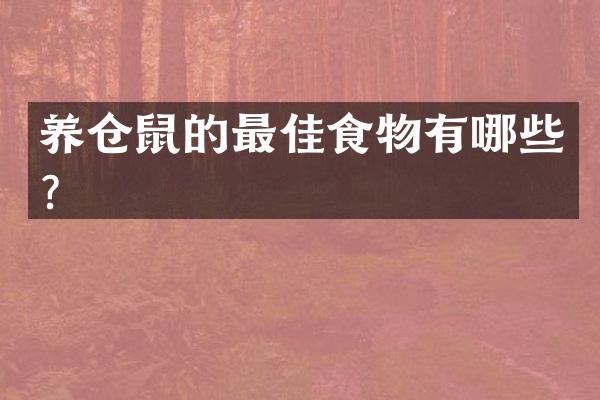 养仓鼠的最佳食物有哪些？