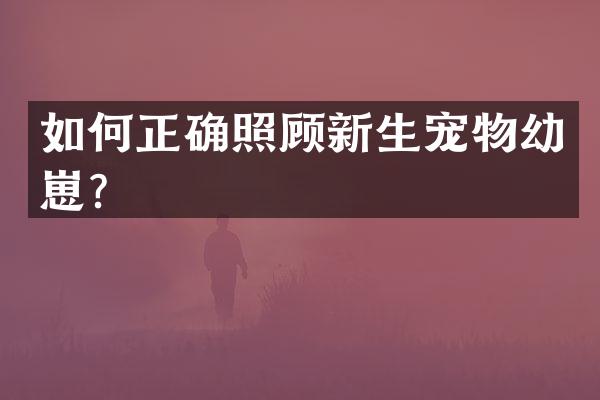 如何正确照顾新生宠物幼崽？