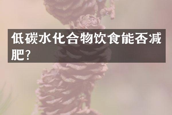 低碳水化合物饮食能否减肥？