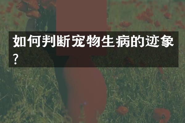 如何判断宠物生病的迹象？