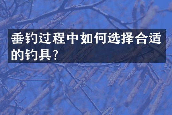 垂钓过程中如何选择合适的钓具？