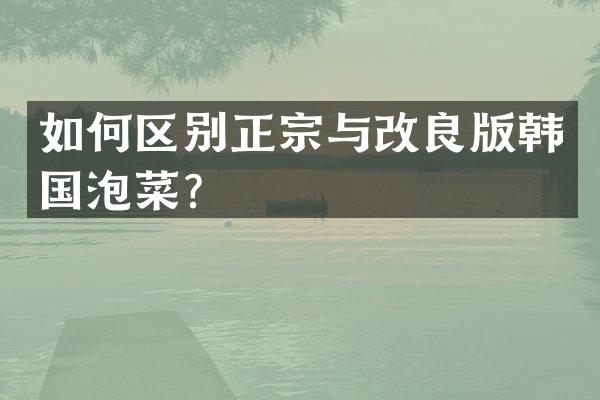 如何区别正宗与改良版韩国泡菜？