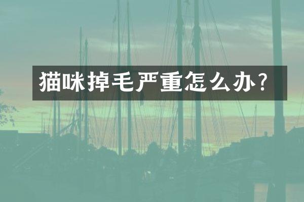 猫咪掉毛严重怎么办？