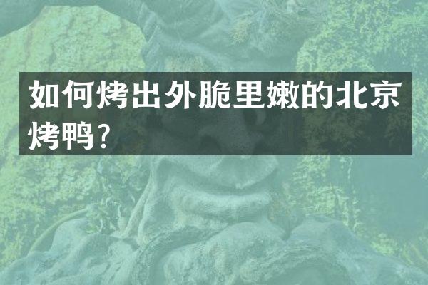 如何烤出外脆里嫩的北京烤鸭？