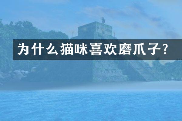 为什么猫咪喜欢磨爪子？