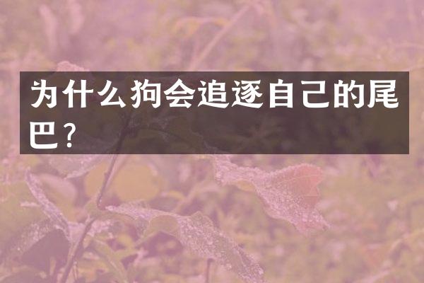 为什么狗会追逐自己的尾巴？