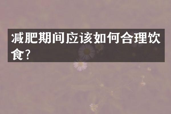 减肥期间应该如何合理饮食？