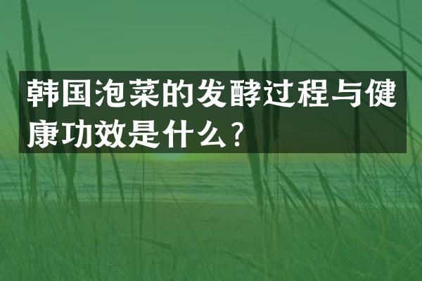 韩国泡菜的发酵过程与健康功效是什么？