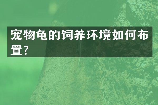 宠物龟的饲养环境如何布置？