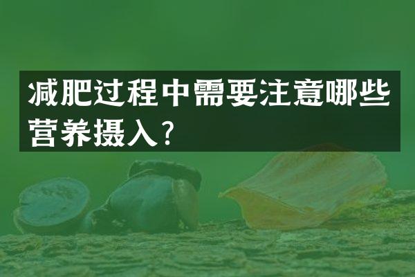减肥过程中需要注意哪些营养摄入？