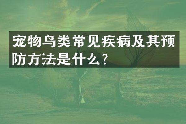 宠物鸟类常见疾病及其预防方法是什么？