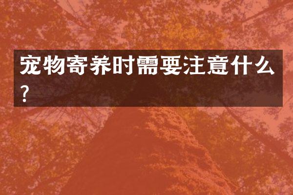 宠物寄养时需要注意什么？