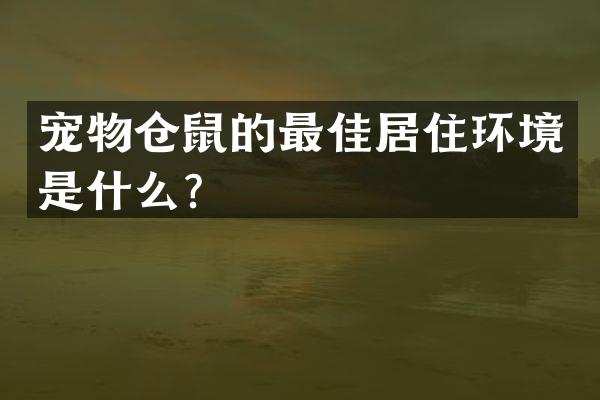 宠物仓鼠的最佳居住环境是什么？