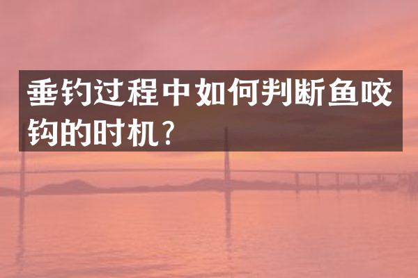 垂钓过程中如何判断鱼咬钩的时机？