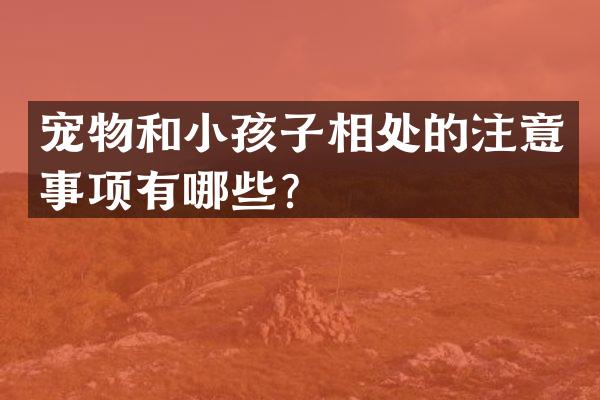 宠物和小孩子相处的注意事项有哪些？