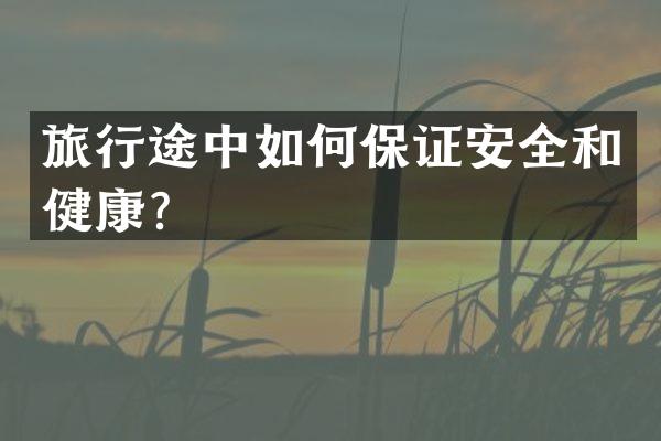 旅行途中如何保证安全和健康？