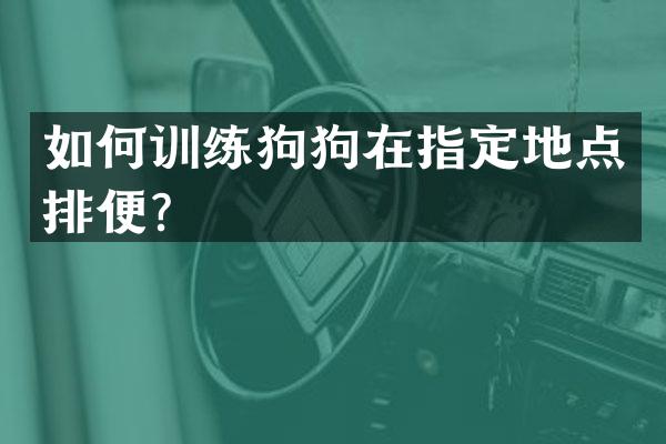 如何训练狗狗在指定地点排便？