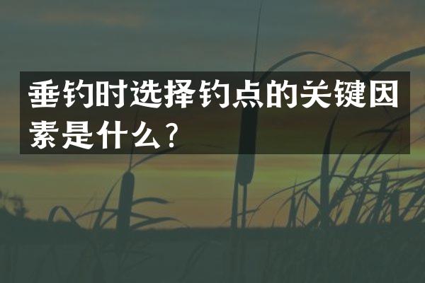 垂钓时选择钓点的关键因素是什么？