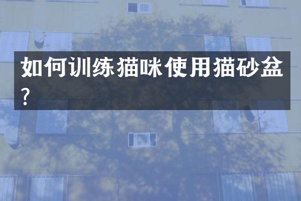 如何训练猫咪使用猫砂盆？