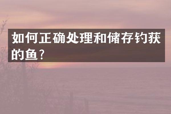 如何正确处理和储存钓获的鱼？