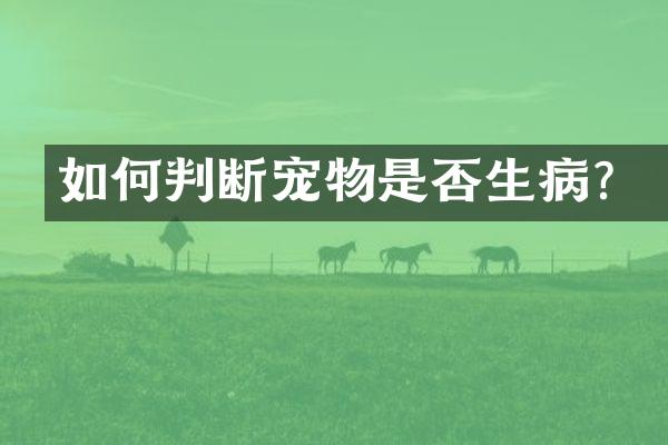 如何判断宠物是否生病？