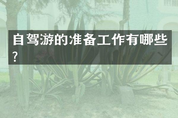 自驾游的准备工作有哪些？