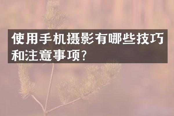使用手机摄影有哪些技巧和注意事项？