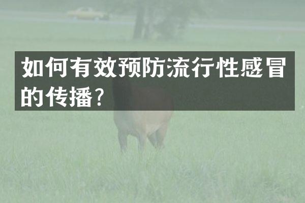 如何有效预防流行性感冒的传播？