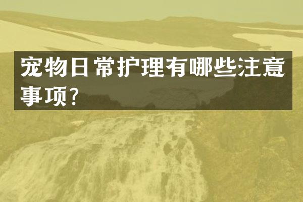 宠物日常护理有哪些注意事项？