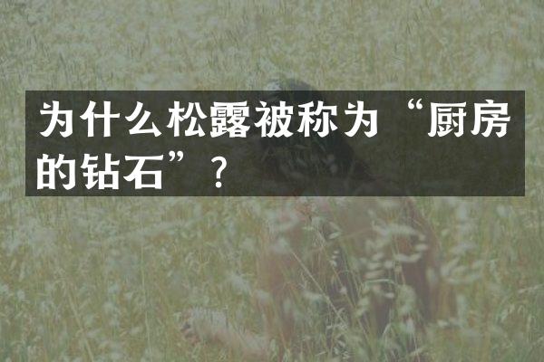 为什么松露被称为&ldquo;厨房的钻石&rdquo;？