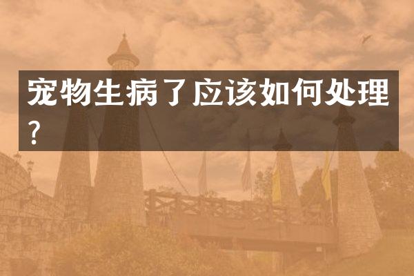 宠物生病了应该如何处理？