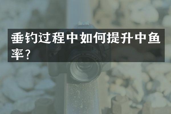 垂钓过程中如何提升中鱼率？