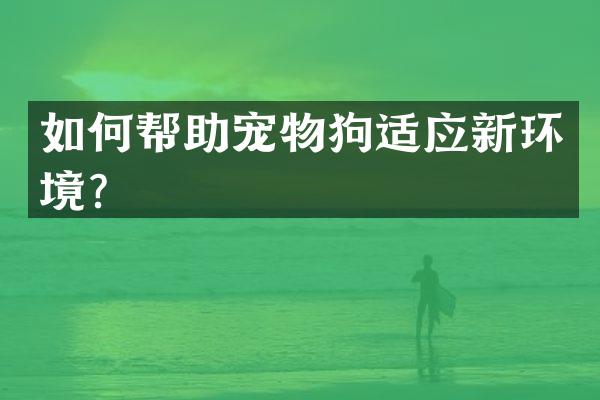 如何帮助宠物狗适应新环境？