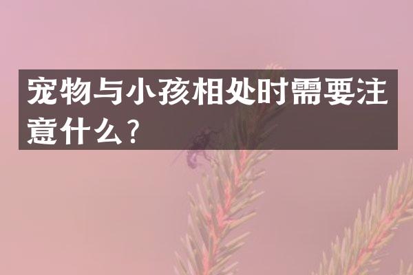 宠物与小孩相处时需要注意什么？