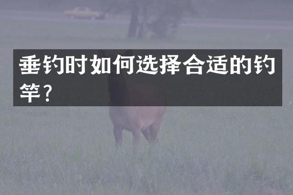 垂钓时如何选择合适的钓竿？