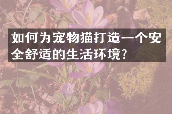 如何为宠物猫打造一个安全舒适的生活环境？