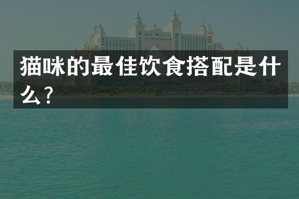 猫咪的最佳饮食搭配是什么？