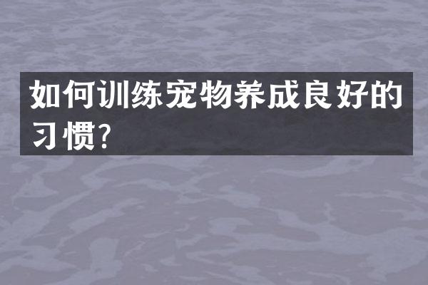 如何训练宠物养成良好的习惯？
