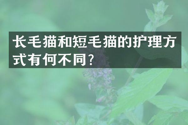 长毛猫和短毛猫的护理方式有何不同？