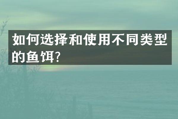 如何选择和使用不同类型的鱼饵？