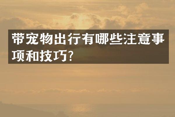 带宠物出行有哪些注意事项和技巧？