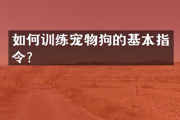 如何训练宠物狗的基本指令？