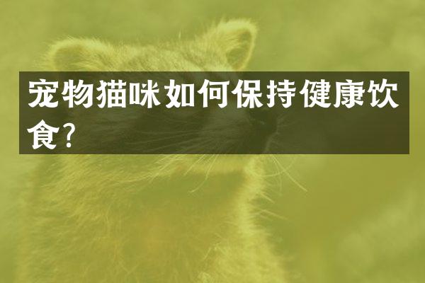宠物猫咪如何保持健康饮食？